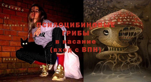 амф Абаза