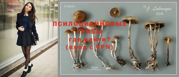 стафф Абинск