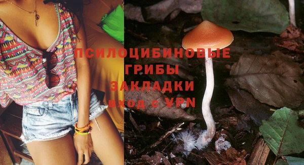 2c-b Абдулино