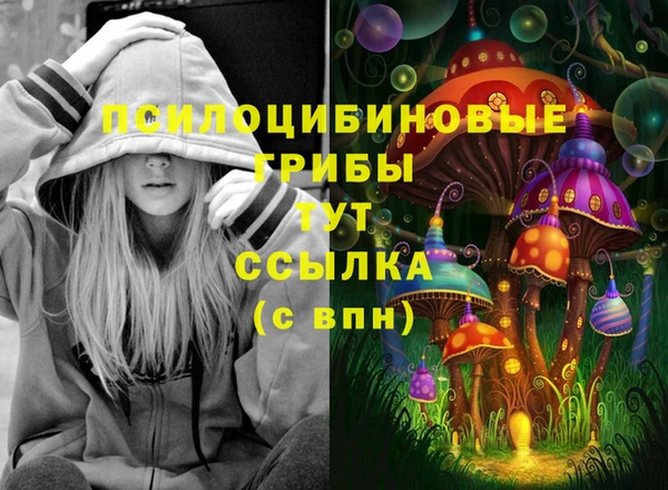 стафф Абинск
