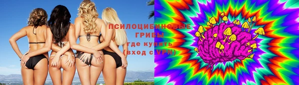 индика Карталы