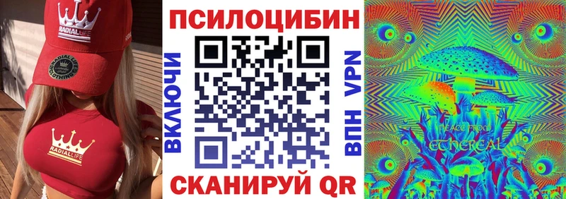 ОМГ ОМГ онион  Урус-Мартан  Галлюциногенные грибы Psilocybine cubensis  как найти  